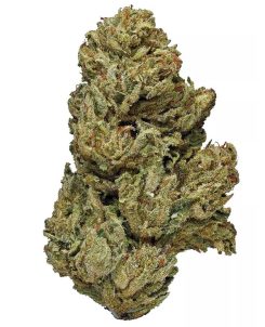 ACDC Hybrid Marijuana Strain