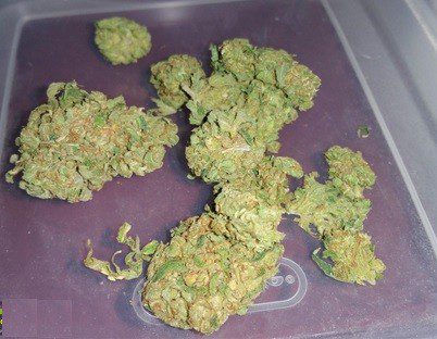 ACDC Weed