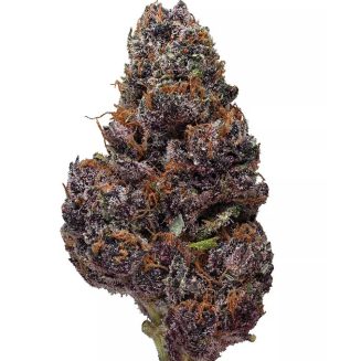 Черна череша сода цвете марихуана