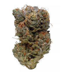 DJ Short Blueberry Marijuana Flower