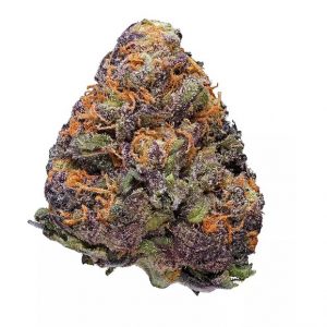 Lavendel Marihuana Blummen