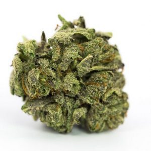 Nova OG Marijuana Strain
