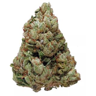 Presidential OG Kush Cannabis Flower