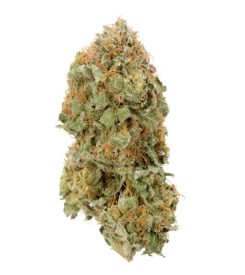 Strawberry Cough Weed Flower