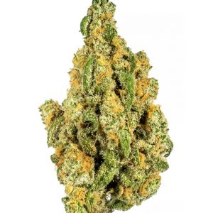 Flor de marihuana Tahoe Hydro OG
