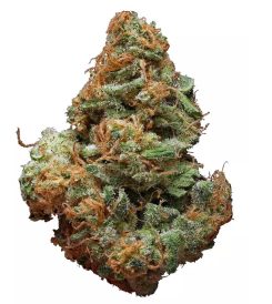 Blue Cheese Marijuana Flower