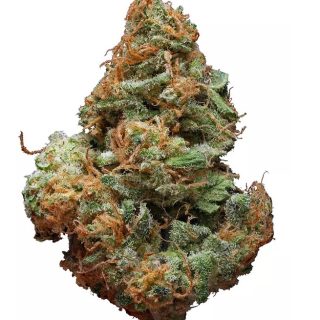 Blue Cheese Marijuana Flower