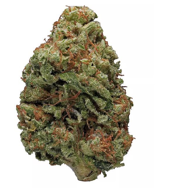 Bruce Banner Marijuana Flower