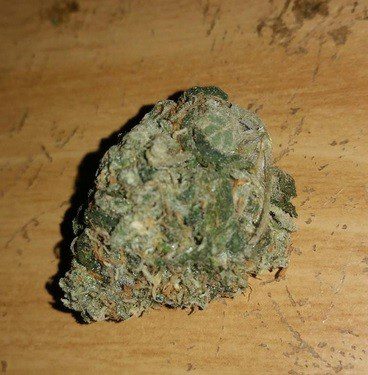 G13 Marijuana Strain