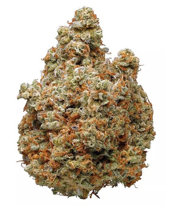 Lemon Kush Hybrid Marijuana
