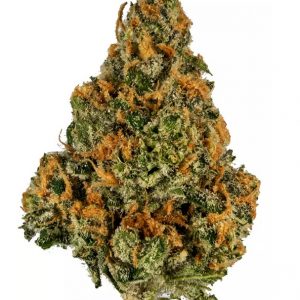 Манго Кусх цвет марихуане