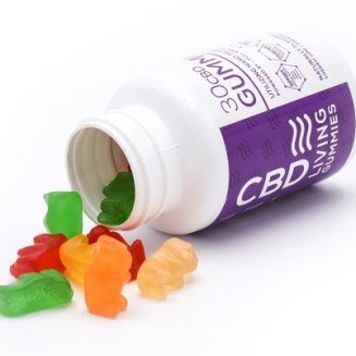 Buy CBD Living Gummies 300mg