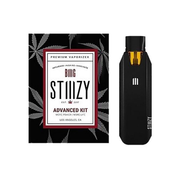 Buy STIIIZY BIIIG Battery (550mah)