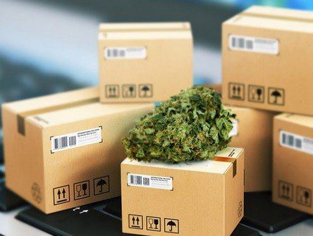 Marihuana Express Shipping
