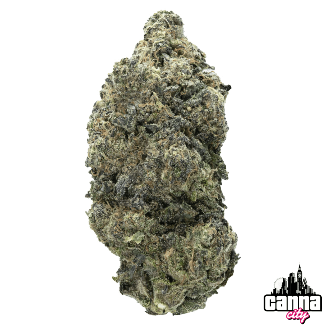 Buy Buds StarDawg