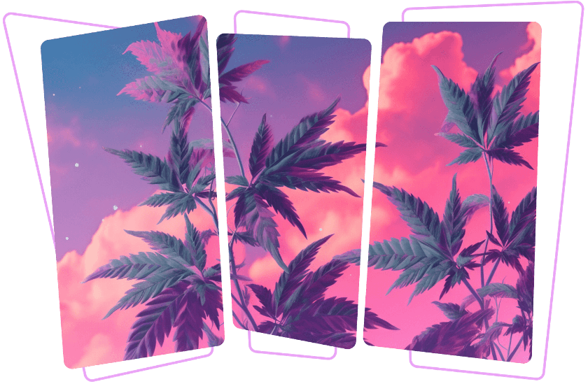 Buy weed in Liverpool