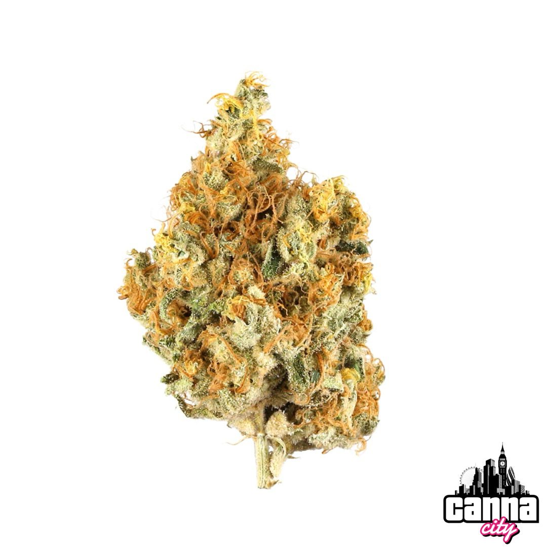 Buy Buds Tangerine Dream