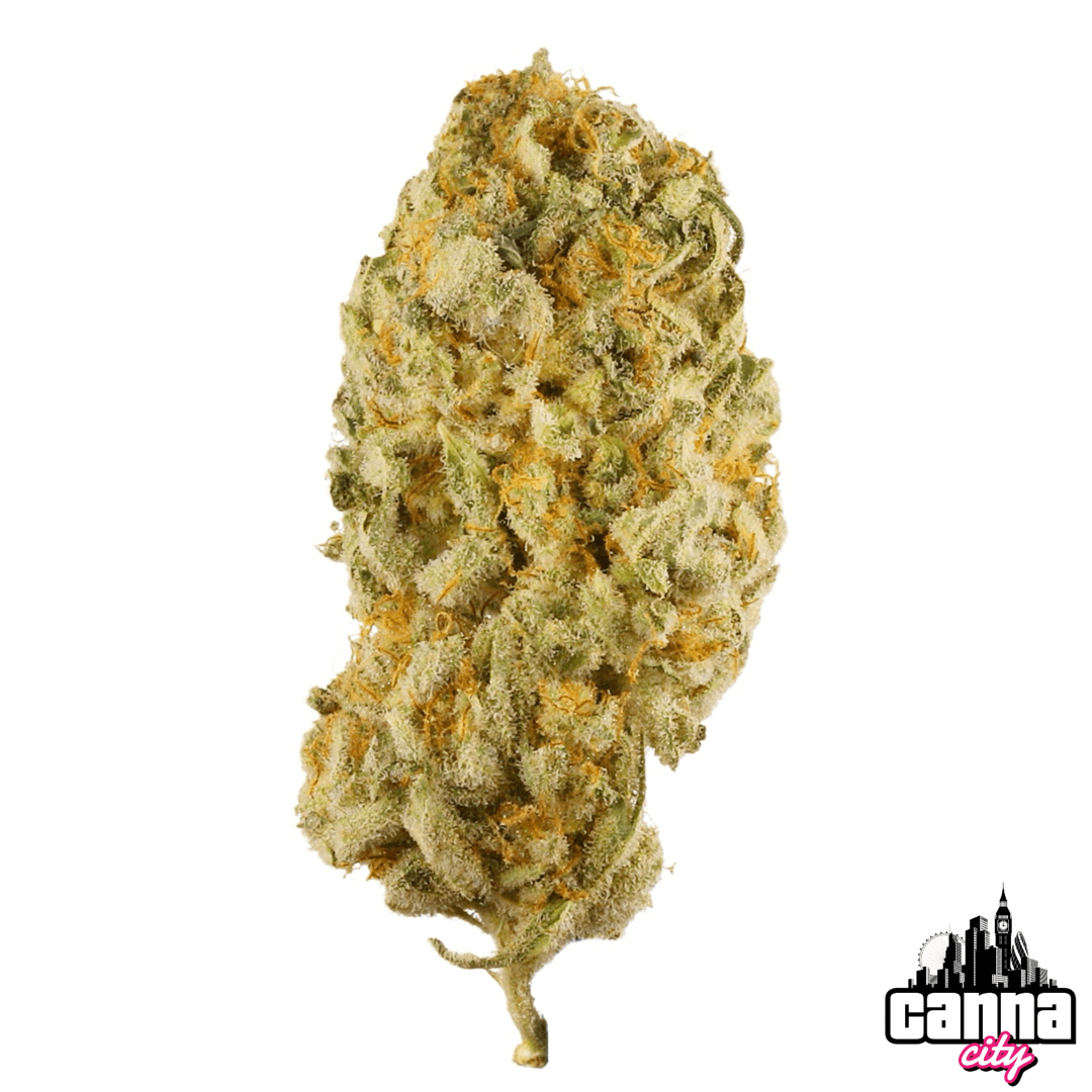 Buy Buds Super Silver Haze